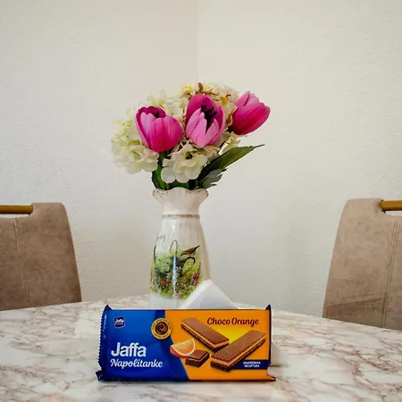 Comfort Bulevar With Garage * Sarajevo