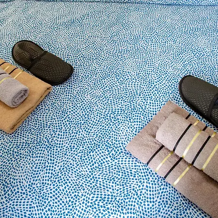 Comfort Bulevar With Garage * Sarajevo