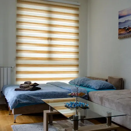 Comfort Bulevar With Garage * Sarajevo