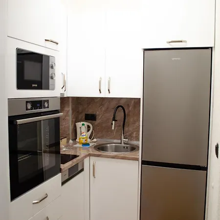 Comfort Bulevar With Garage * Sarajevo